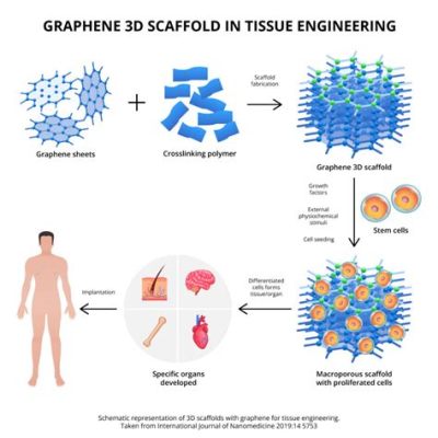  Graphene: Revolutionair materiaal voor implantaattechnologie en tissue engineering!